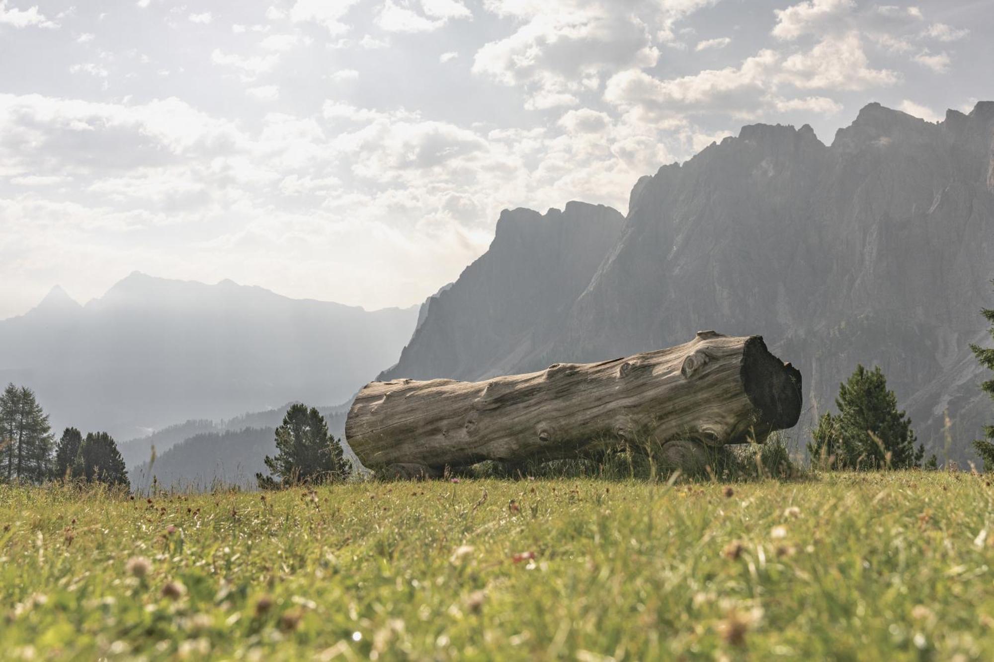 Ciasa Iachin - Dolomites Dream Retreat Lejlighed San Martino in Badia Eksteriør billede