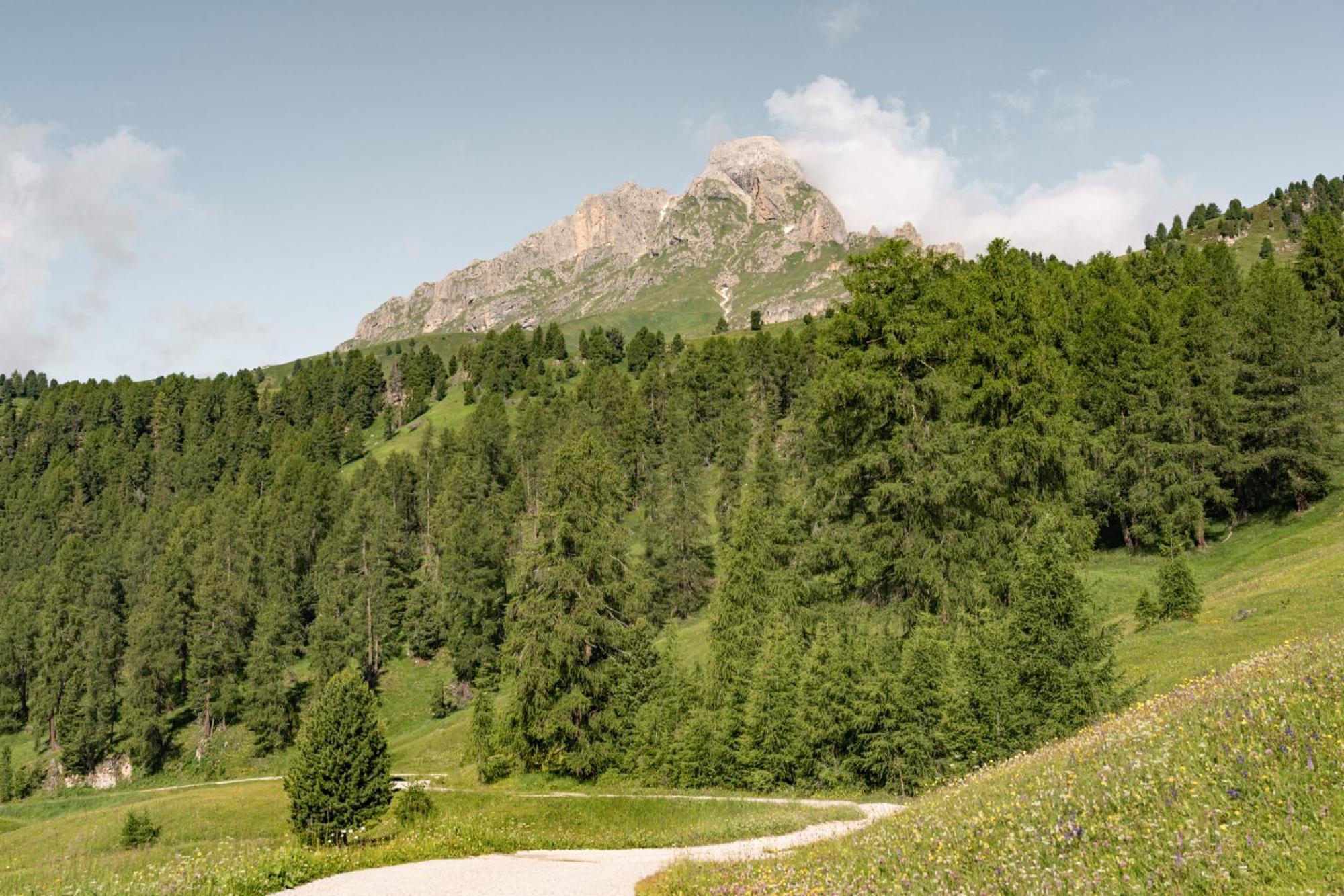 Ciasa Iachin - Dolomites Dream Retreat Lejlighed San Martino in Badia Eksteriør billede