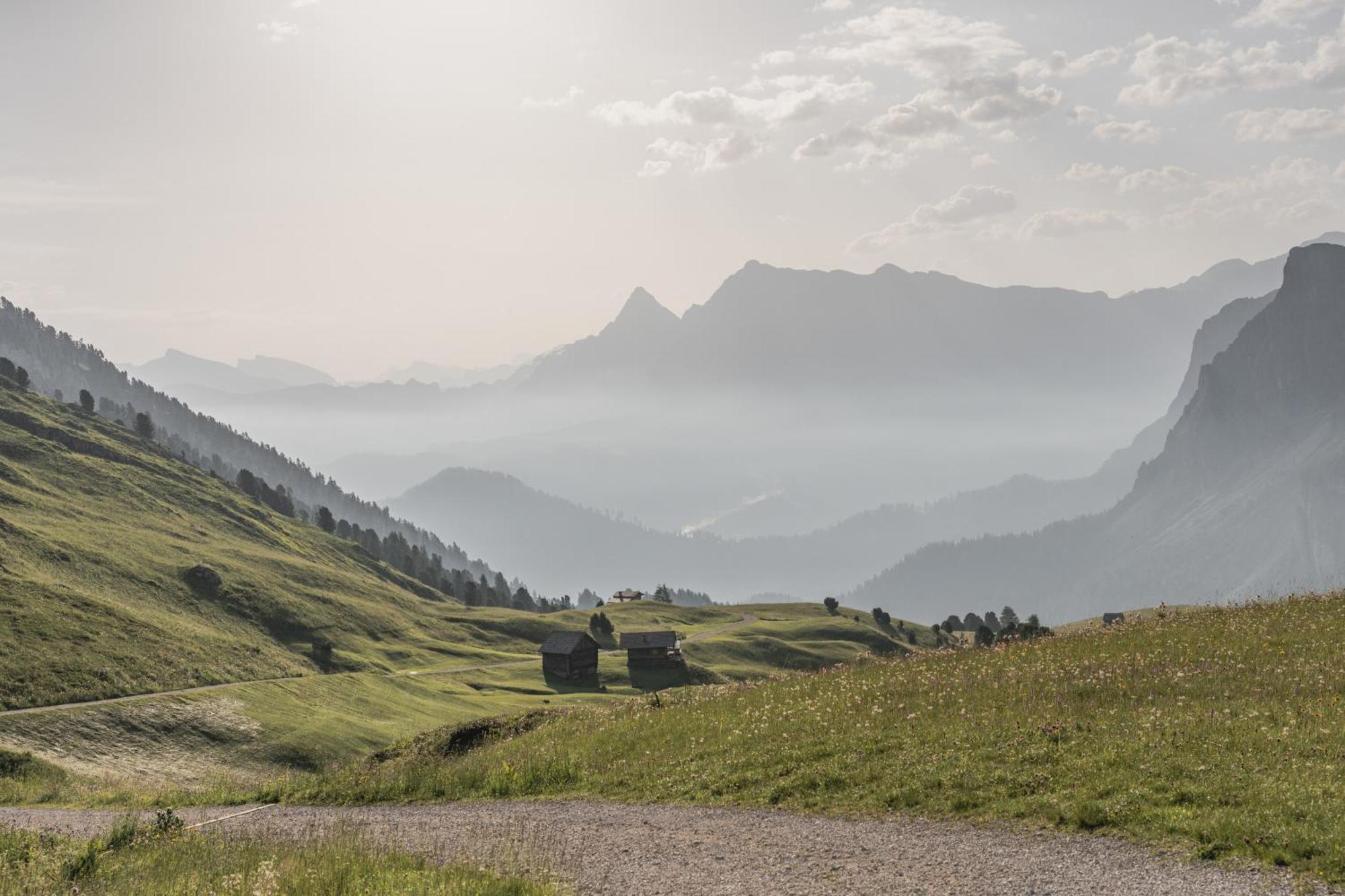 Ciasa Iachin - Dolomites Dream Retreat Lejlighed San Martino in Badia Eksteriør billede